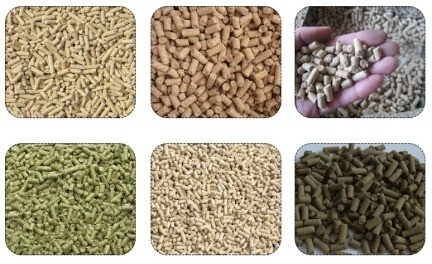 Pelletificateur à mélange de déchets animaux à tubes plats pour équipements de transformation des aliments pour volailles