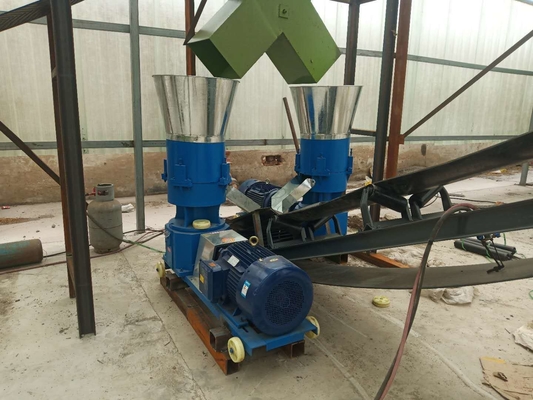 Pelletizer de fumier de volaille 380V réglable à plat machine à faire des granulés de caca de poulet