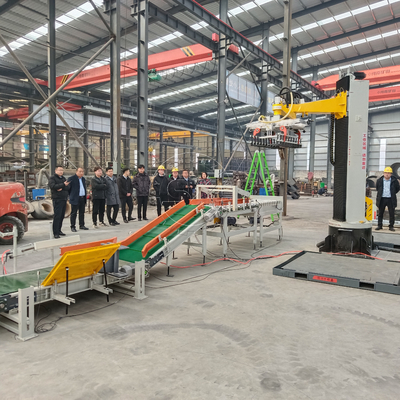 Palletizer automatique de carton avec matériau en acier inoxydable