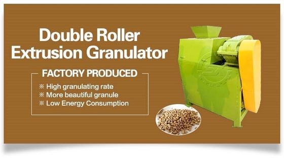 10 tonnes par heure ligne de production granulaire d'engrais phosphatés avec comminateur à rouleaux extrudés