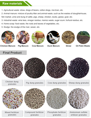 Granulateur pour matériaux d'engrais usine de production de granulation de litière de chats à base de bentonite
